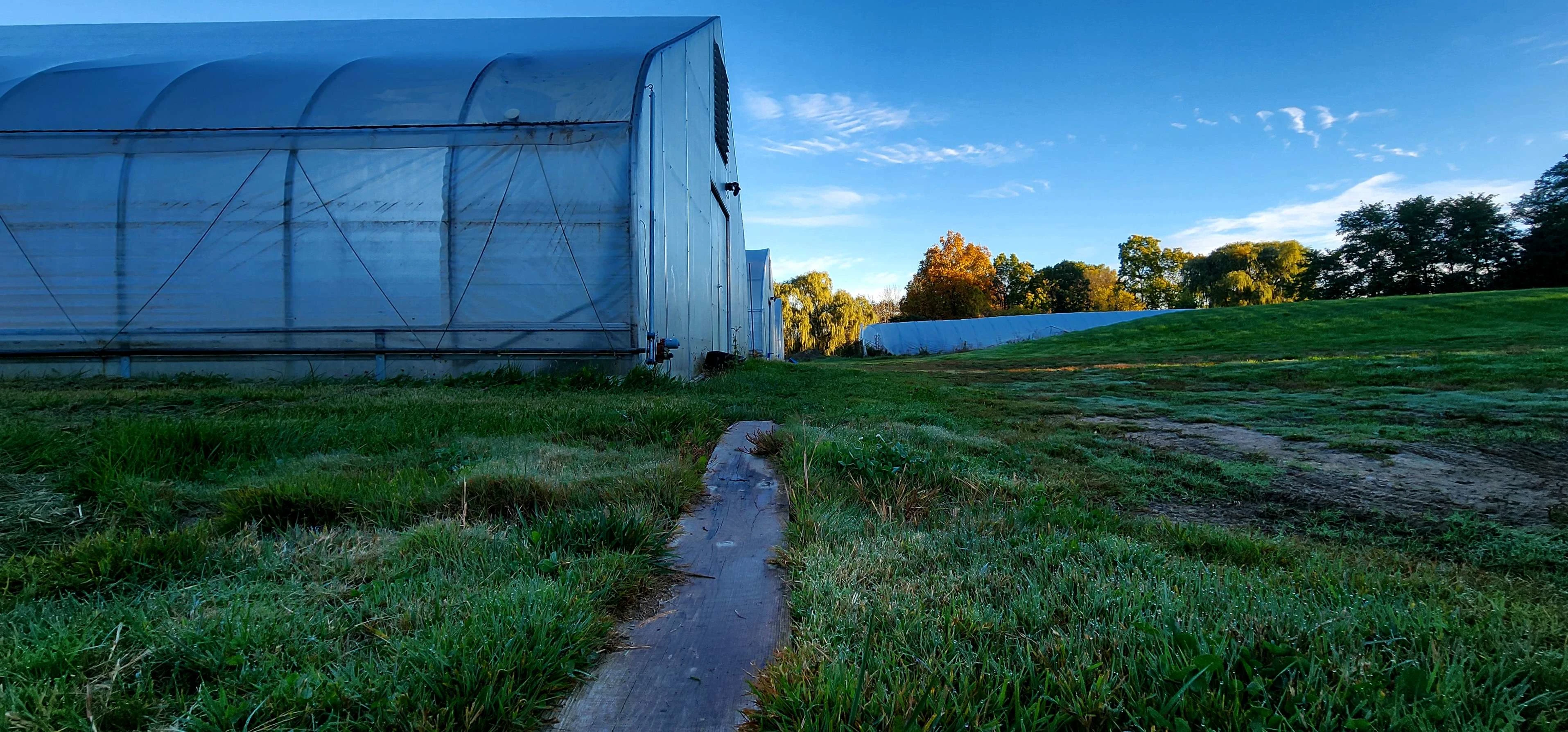 Farm Path